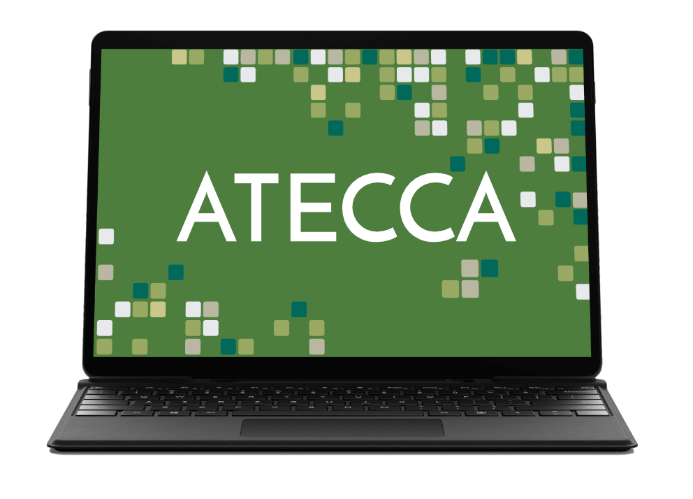 Atecca surface